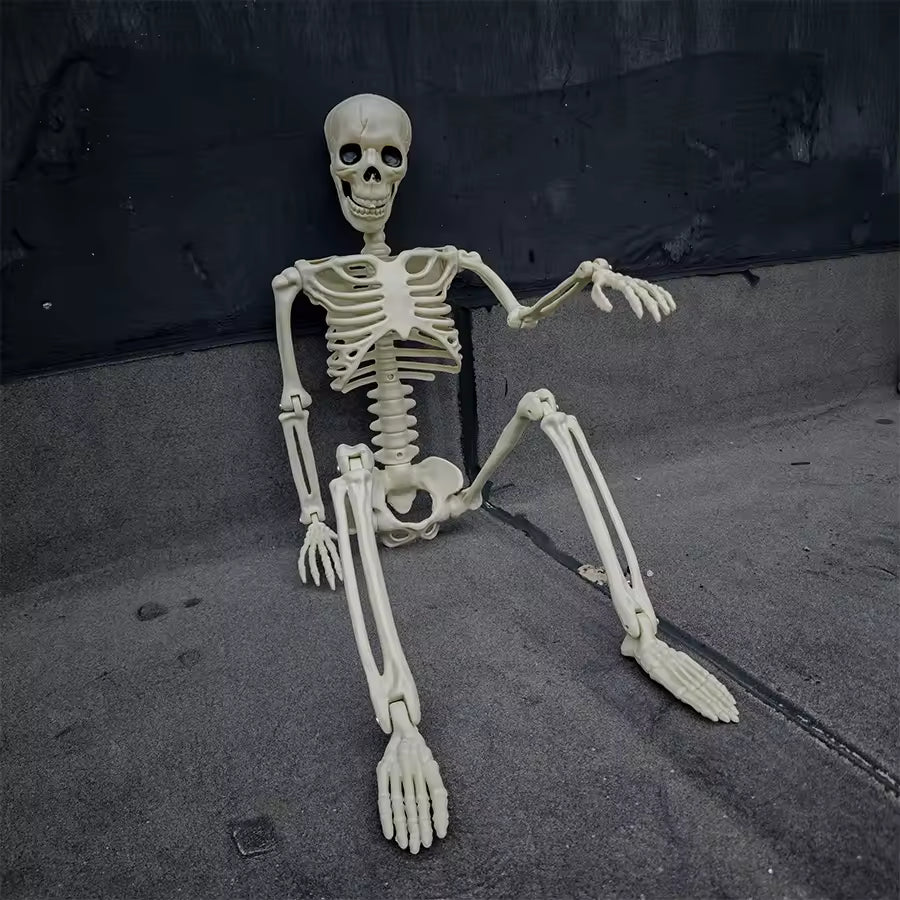 Full size skeleton