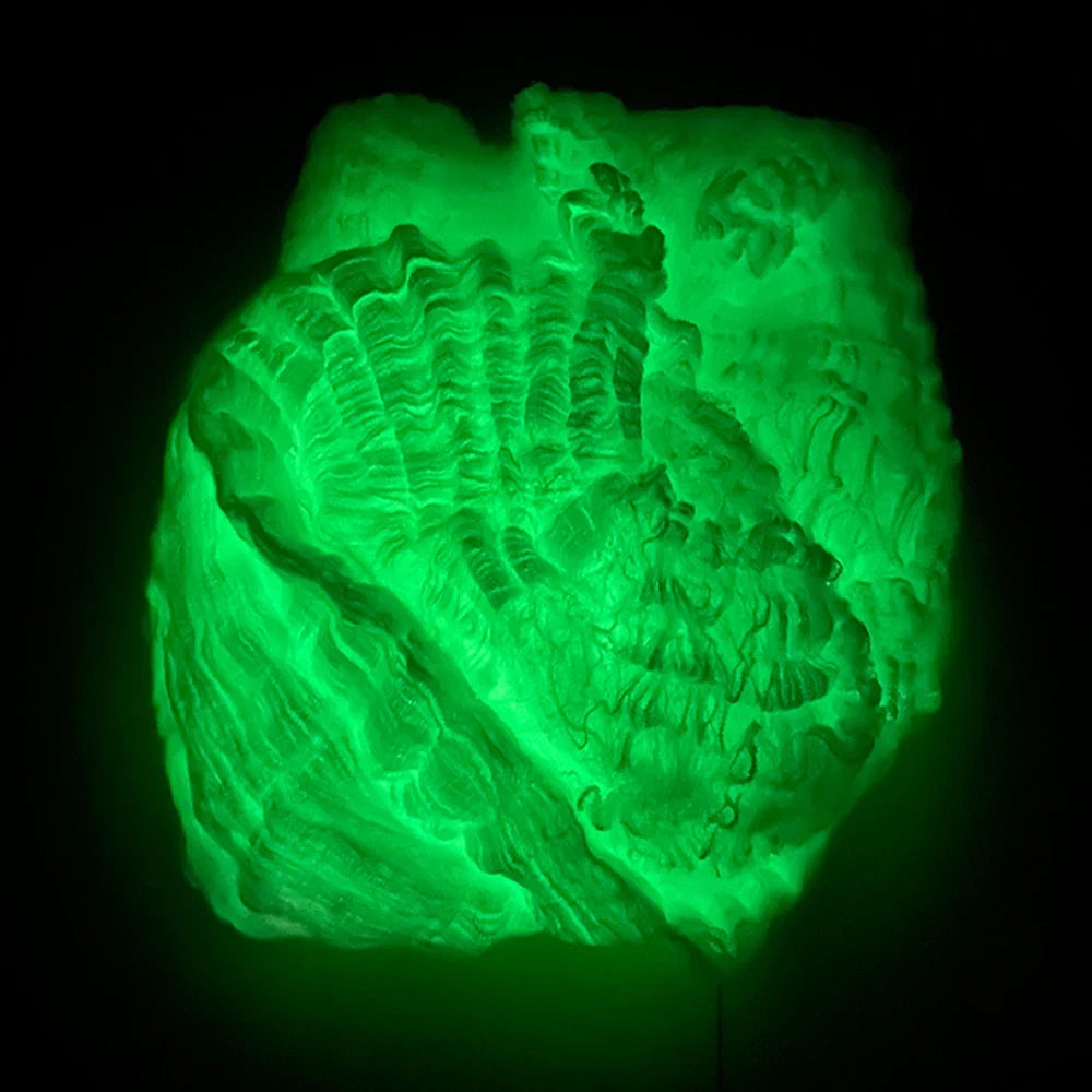 Fluorescent Spider Web