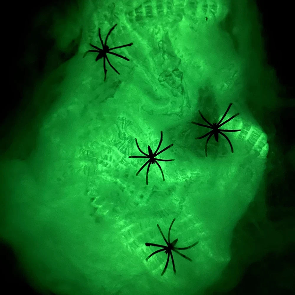 Fluorescent Spider Web