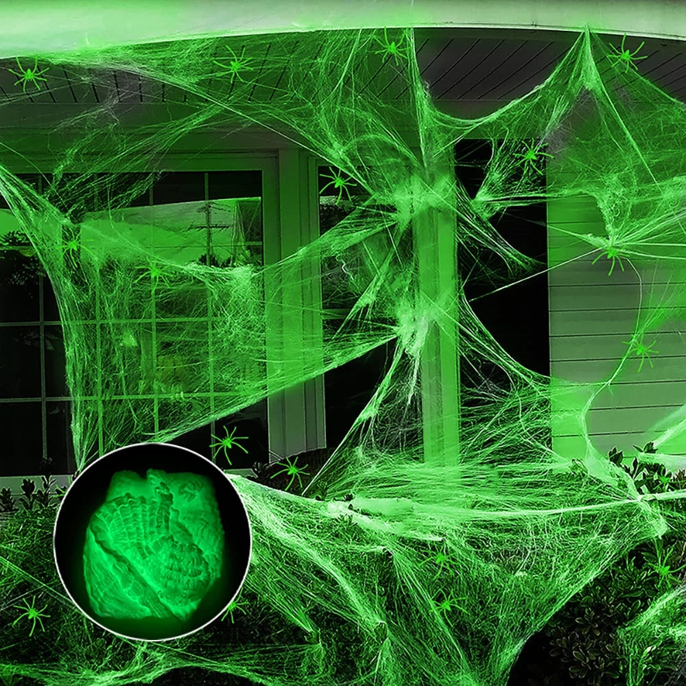 Fluorescent Spider Web